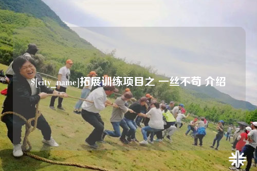 湖北拓展训练项目之 一丝不苟 介绍